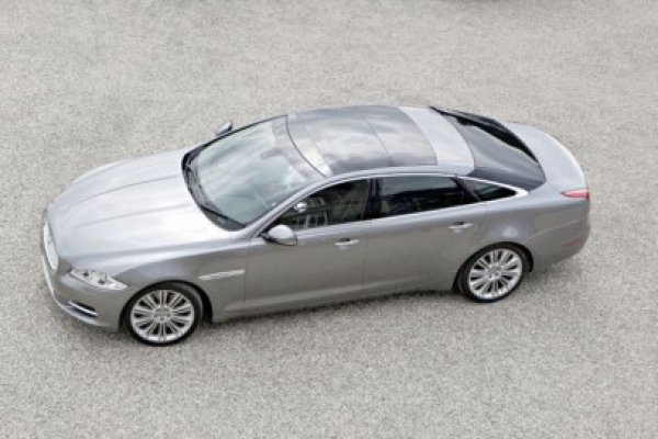 Jaguar neînmatriculat, descoperit în Negru Vodă